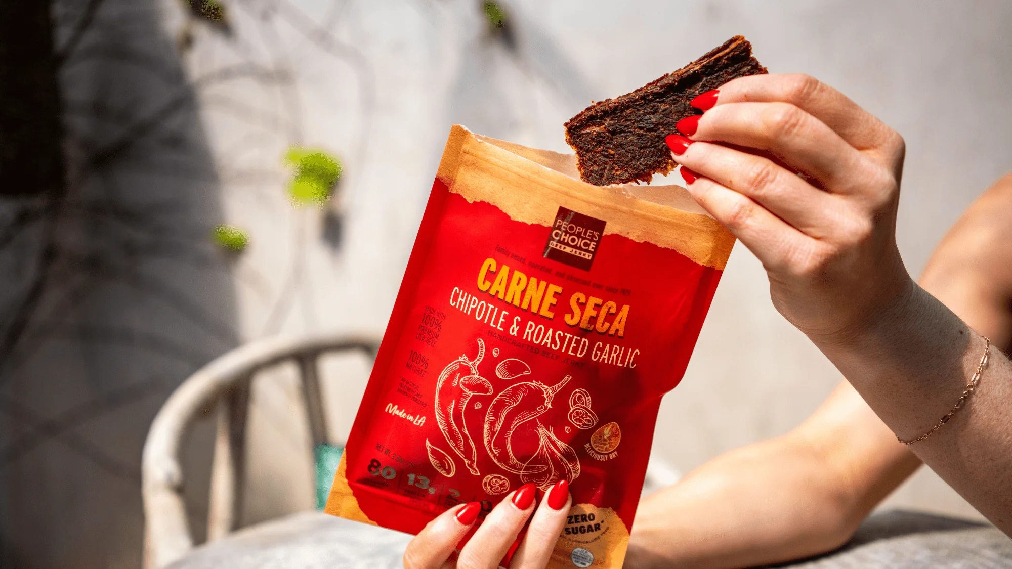 CARNE SECA - CHIPOTLE & ROASTED GARLIC - Image 3